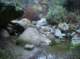 imgp0509_small.jpg