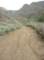 imgp0515_small.jpg