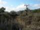 imgp0516_small.jpg