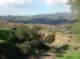 imgp0517_small.jpg
