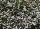 imgp2042_small.jpg
