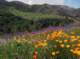 imgp2043_small.jpg