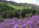 imgp2044_small.jpg