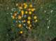 imgp2045_small.jpg