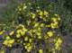 imgp2051_small.jpg