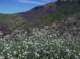 imgp2052_small.jpg