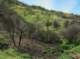 imgp2054_small.jpg