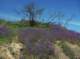 imgp2067_small.jpg