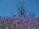 imgp2071_small.jpg