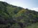 imgp2073_small.jpg