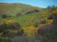 imgp2081_small.jpg