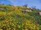 imgp2084_small.jpg