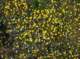 imgp2085_small.jpg