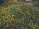 imgp2086_small.jpg