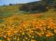 imgp2088_small.jpg