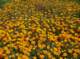 imgp2090_small.jpg