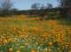 imgp2093_small.jpg