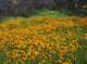 imgp2095_small.jpg