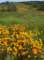 imgp2097_small.jpg