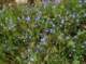 imgp2099_small.jpg