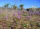 imgp5082_small.jpg