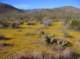 imgp5086_small.jpg