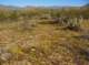 imgp5087_small.jpg