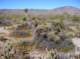 imgp5093_small.jpg