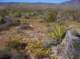 imgp5095_small.jpg