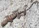 imgp5105_small.jpg