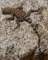 imgp5106_small.jpg