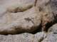 imgp5107_small.jpg