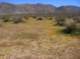 imgp5118_small.jpg