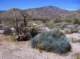 imgp5119_small.jpg