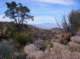 imgp5131_small.jpg