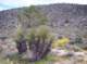 imgp5134_small.jpg