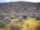 imgp5135_small.jpg