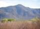 imgp5136_small.jpg