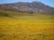 imgp5151_small.jpg