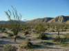 imgp0013_small.jpg
