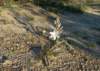 imgp0017_small.jpg