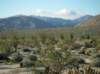 imgp0019_small.jpg