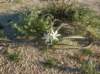 imgp0021_small.jpg