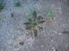 imgp0022_small.jpg