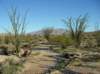imgp0024_small.jpg