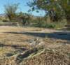 imgp0025_small.jpg