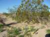 imgp0033_small.jpg