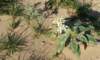 imgp0035_small.jpg