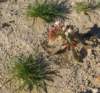 imgp0038_small.jpg