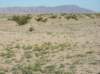 imgp0042_small.jpg